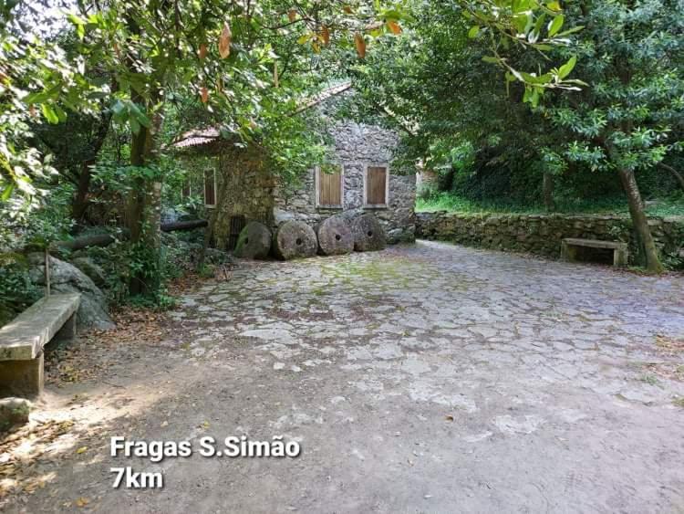 Casa Da Vila Figueiro Dos Vinhos Ngoại thất bức ảnh