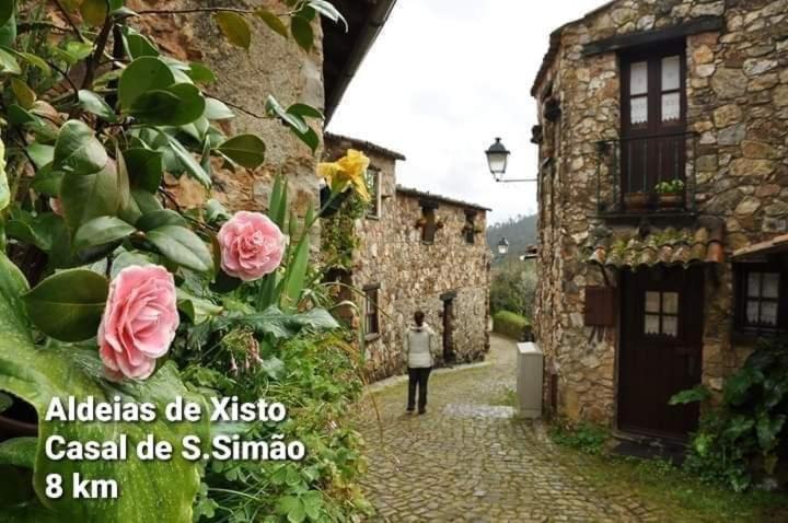 Casa Da Vila Figueiro Dos Vinhos Ngoại thất bức ảnh